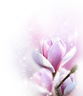 素雅花朵室內(nèi)移門創(chuàng)意畫