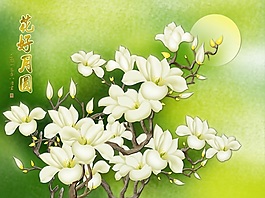 玉蘭花花好月圓效果圖