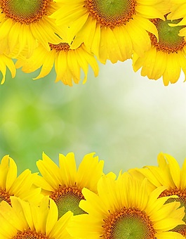 室內移門創意畫向陽花