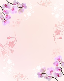 粉色手绘蝴蝶兰花朵移门
