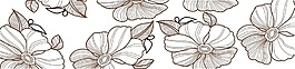 素描花朵室内移门创意画
