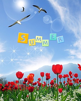 SUMMER移門創(chuàng)意畫