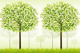 綠樹現(xiàn)代簡約風格背景墻