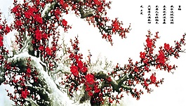 紅梅瓷磚背景墻帶路徑