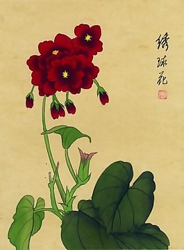 繡球花布紋貼圖