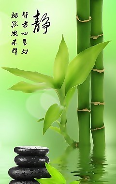 竹瓷磚高清背景墻