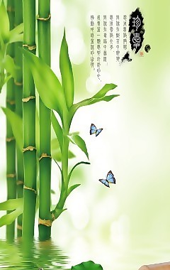 竹林瓷磚高清背景墻