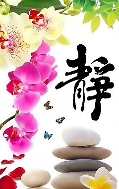 蝴蝶蘭瓷磚高清背景墻