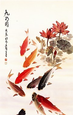 鯉魚荷花瓷磚高清背景墻