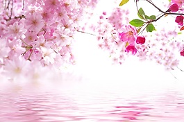 桃花滿枝椏裝飾畫效果圖