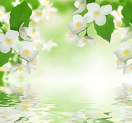 花朵綠葉裝飾畫效果圖