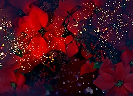 意境深遠火紅花朵裝飾畫效果圖