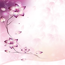 紫色魅力花朵裝飾畫素材