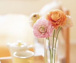 插花盆景裝飾畫(huà)效果圖