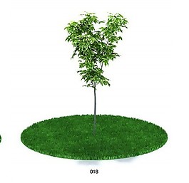 植物模型素材