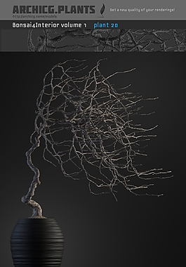 歐美風(fēng)花瓶植物3D模型