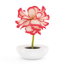 漂亮花卉模型素材