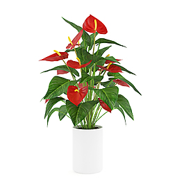 红色花模型素材