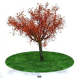 紅葉樹木模型
