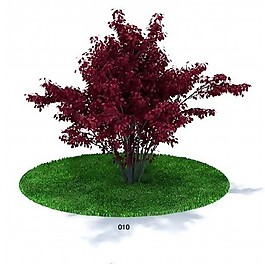 深紅色樹木模型