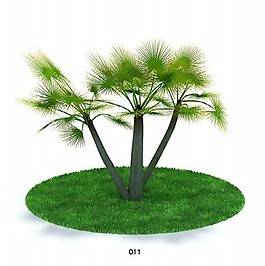 熱帶樹(shù)木模型