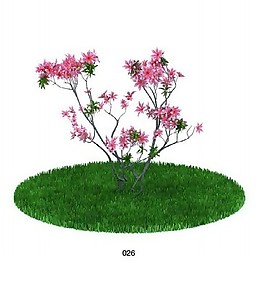 植物模型素材