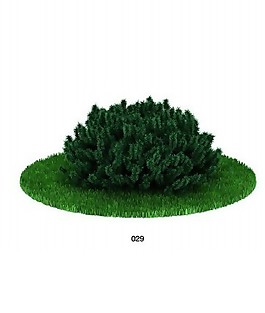 灌木模型