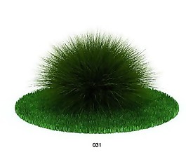 毛茸茸植物模型