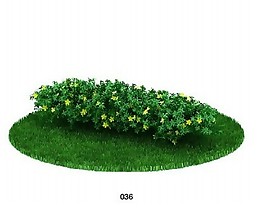 花卉植物模型