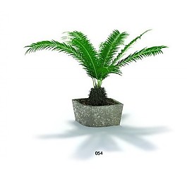 綠色植物盆栽模型