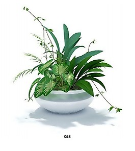 室內(nèi)植物模型擺件