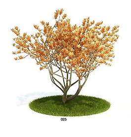 秋天樹模型