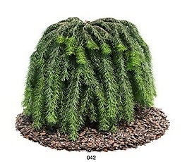 帶刺綠色植物模型