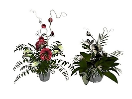 綠植小花Flowers_ikeban