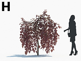 綠色植物綠植模型