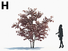 戶外綠色植物模型