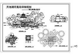 天池湖月亮岛公园亭景点设计图CAD图纸