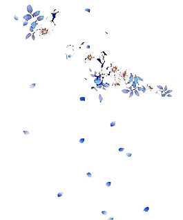 小清新藍(lán)色花瓣元素