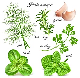 綠色植物矢量素材