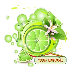 檸檬水果矢量素材