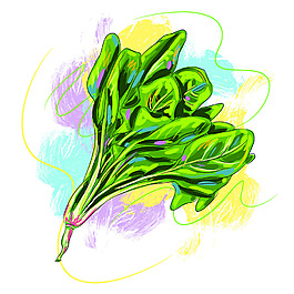 手繪綠色蔬菜矢量