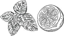 簡(jiǎn)約檸檬果蔬矢量