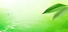 小清新綠葉banner背景