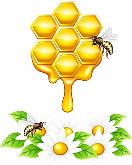 金黃色蜂蜜矢量