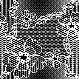 蕾絲花紋卡片設(shè)計(jì)矢量背景