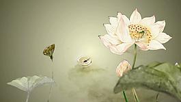 中國水墨梅花小橋流水荷花動態(tài)國畫