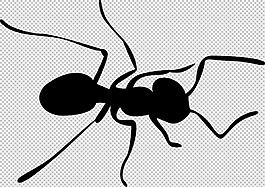 小蚂蚁卡通图片免抠png透明图层素材