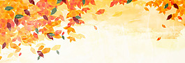 楓葉秋季banner背景