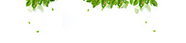 綠色漂浮綠葉banner背景