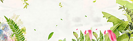 夏季綠色簡約葉子淘寶全屏banner背景